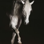 phstudio OnlyFans Leaks 

 profile picture