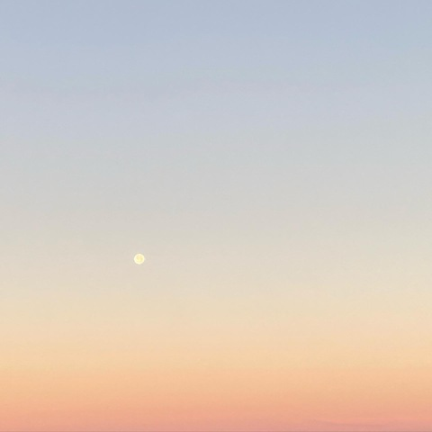 Header of pipermallory