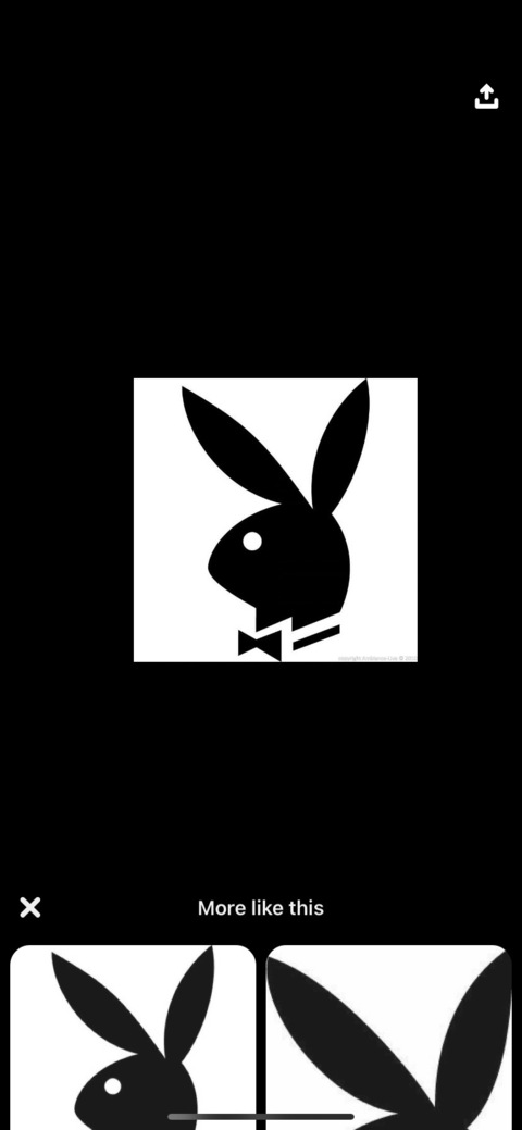 Header of playboy213