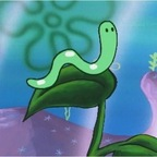 pooonyboy (🐋) free OnlyFans Leaked Videos and Pictures 

 profile picture