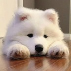 Download pretty.angel OnlyFans videos and photos for free 

 profile picture