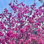 Onlyfans leaks princessmiats 

 profile picture