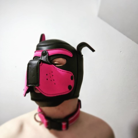 Header of pup_dipstick