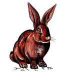 Onlyfans leaked redrabbit6969 

 profile picture