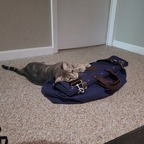 Download rexaddo OnlyFans content for free 

 profile picture