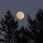 riley-j OnlyFans Leaked Photos and Videos 

 profile picture