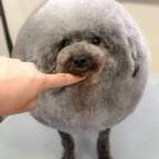 rudi68 (Rudi68) free OnlyFans Leaks 

 profile picture