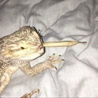 saintz (saint !) free OnlyFans content 

 profile picture