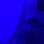 sarahxxx_03 (✨Sarah✨) OnlyFans Leaked Videos and Pictures 

 profile picture