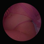 satansprincessc OnlyFans Leaks 

 profile picture