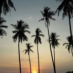 sextraveller (Sextraveller, exploring South East Asia) free OnlyFans Leaked Pictures and Videos 

 profile picture