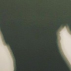 Onlyfans leaks shae4in 

 profile picture