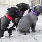 shoot_ahh OnlyFans Leak 

 profile picture