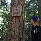 Download slothsinbenji OnlyFans videos and photos for free 

 profile picture