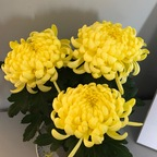 Free access to (smelliotts) Leak OnlyFans 

 profile picture