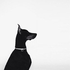 smetanka (Marina) OnlyFans Leaked Videos and Pictures 

 profile picture