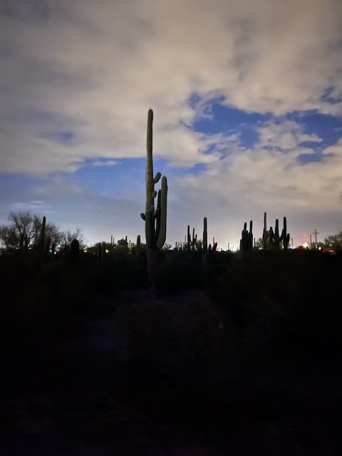 Header of southwestdaddy