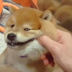 specialgiftz OnlyFans Leak 

 profile picture