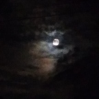 spicyfingers (Spicy) free OnlyFans Leaked Pictures & Videos 

 profile picture