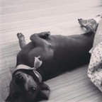 steff (Stephano) OnlyFans Leaks [UPDATED] profile picture