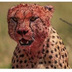 stroh OnlyFans Leaked Photos and Videos 

 profile picture