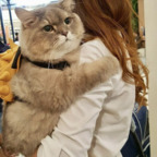 Onlyfans leak strwbrryprncss 

 profile picture