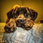 stuartalexander1776 (StuartAlexander) free OnlyFans Leaks 

 profile picture