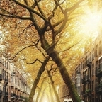 Free access to (@sullivan) Leaks OnlyFans 

 profile picture