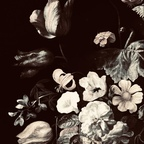 Download tatted_b6 OnlyFans videos and photos for free 

 profile picture