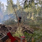 Download thatgreenxj OnlyFans content for free 

 profile picture