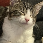 theprincessb (A) OF Leaks [FRESH] profile picture