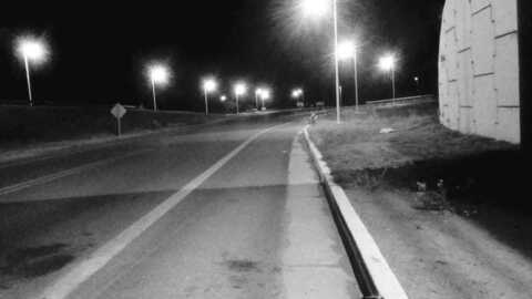 Header of tiacogollo