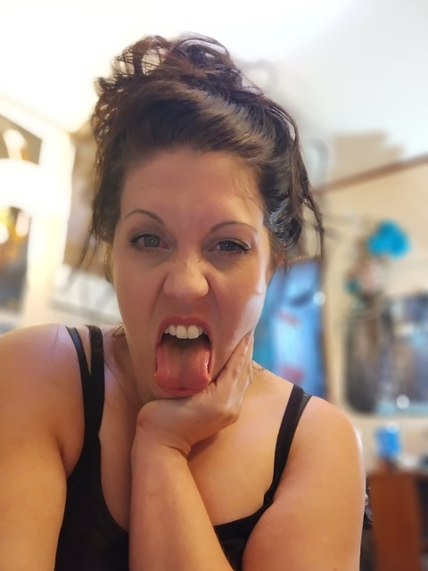 Header of tulipinarosegarden