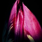 Onlyfans leaks twolips2121 

 profile picture