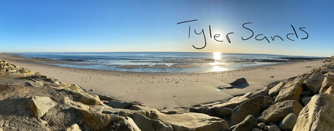 Header of tylersands