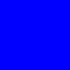 u118262800 OnlyFans Leaked 

 profile picture