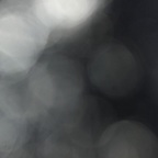 u163822772 OnlyFans Leaked 

 profile picture