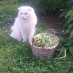 Download u17049518 OnlyFans videos and photos for free 

 profile picture