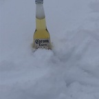 Tommy123 (@u20413874) Leaks OnlyFans 

 profile picture