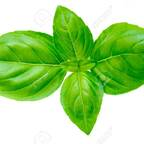 u21349926 (Lemon) free OnlyFans Leaked Pictures & Videos 

 profile picture