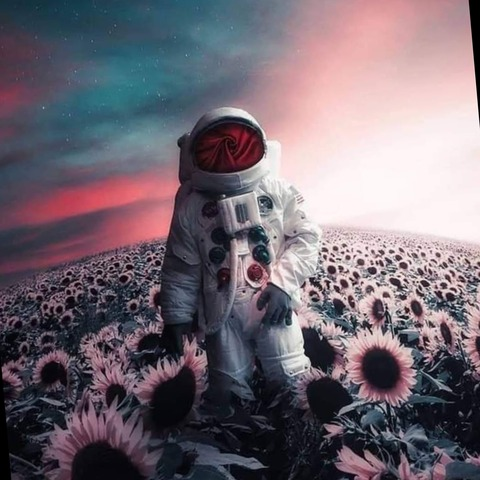 Header of u216883194