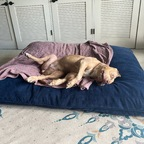 u249321866 (Michael) free OnlyFans Leaked Content 

 profile picture