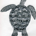 Free access to (u62758509) Leaks OnlyFans 

 profile picture