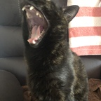 u67181577 OnlyFans Leaks 

 profile picture