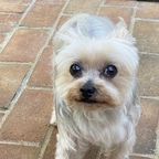 Onlyfans leaks u79336836 

 profile picture