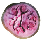 Download uglytoysss OnlyFans videos and photos for free 

 profile picture