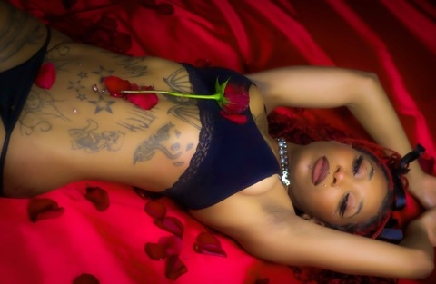 Header of vanessaamorofficial