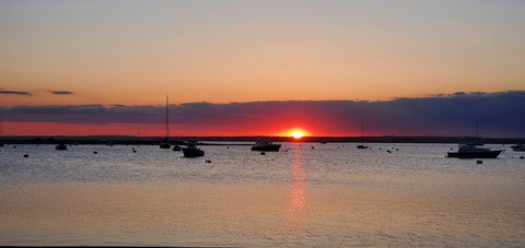 Header of versguyfun69