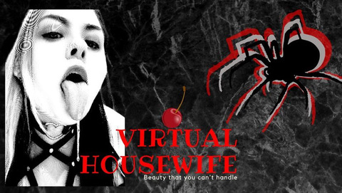 Header of virtualhousewife