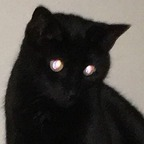 Onlyfans leaked voidqueen 

 profile picture